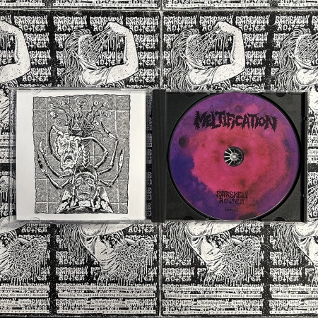 Meltification - Meltification CD